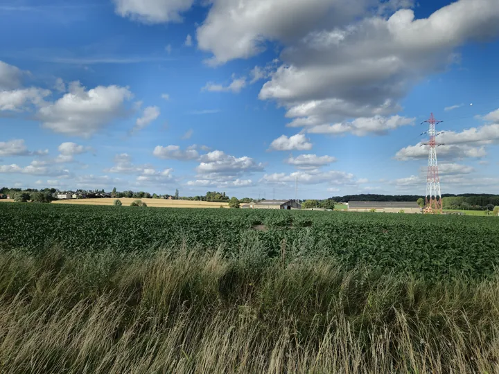 Bellegem, West-Vlaanderen (Belgium)